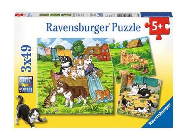 Puzzle 3 x 49 Teile - Süße Katzen und Hunde