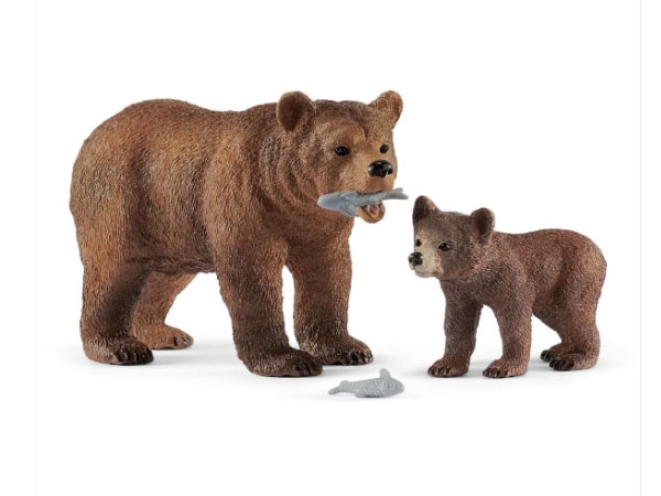 Grizzlybär-Mutter mit Jungem