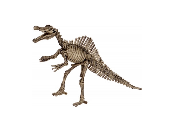 Ausgrabungsset Spinosaurus T-Rex World (ca.19x12x4